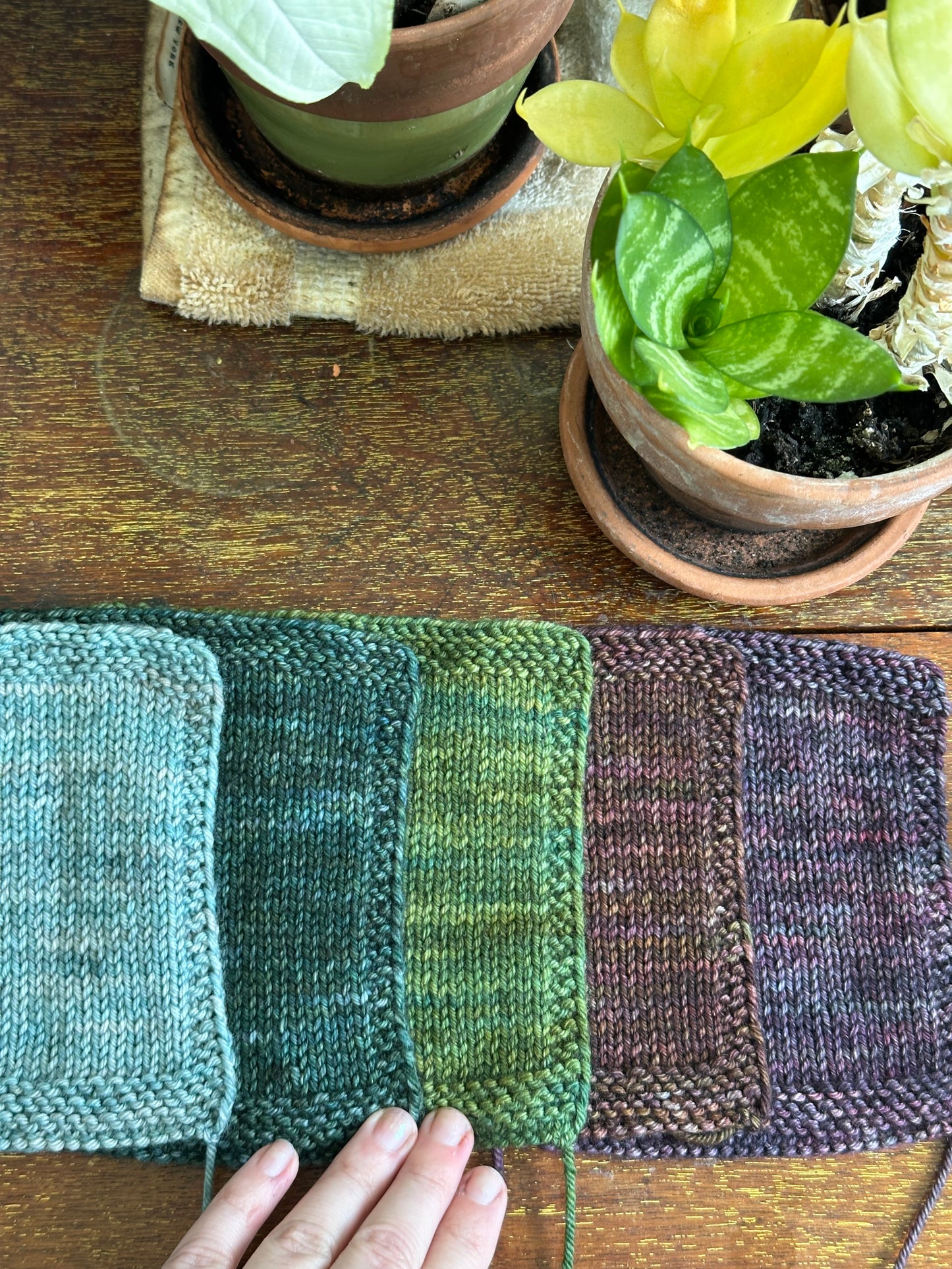 DYED-TO-ORDER | Old Books