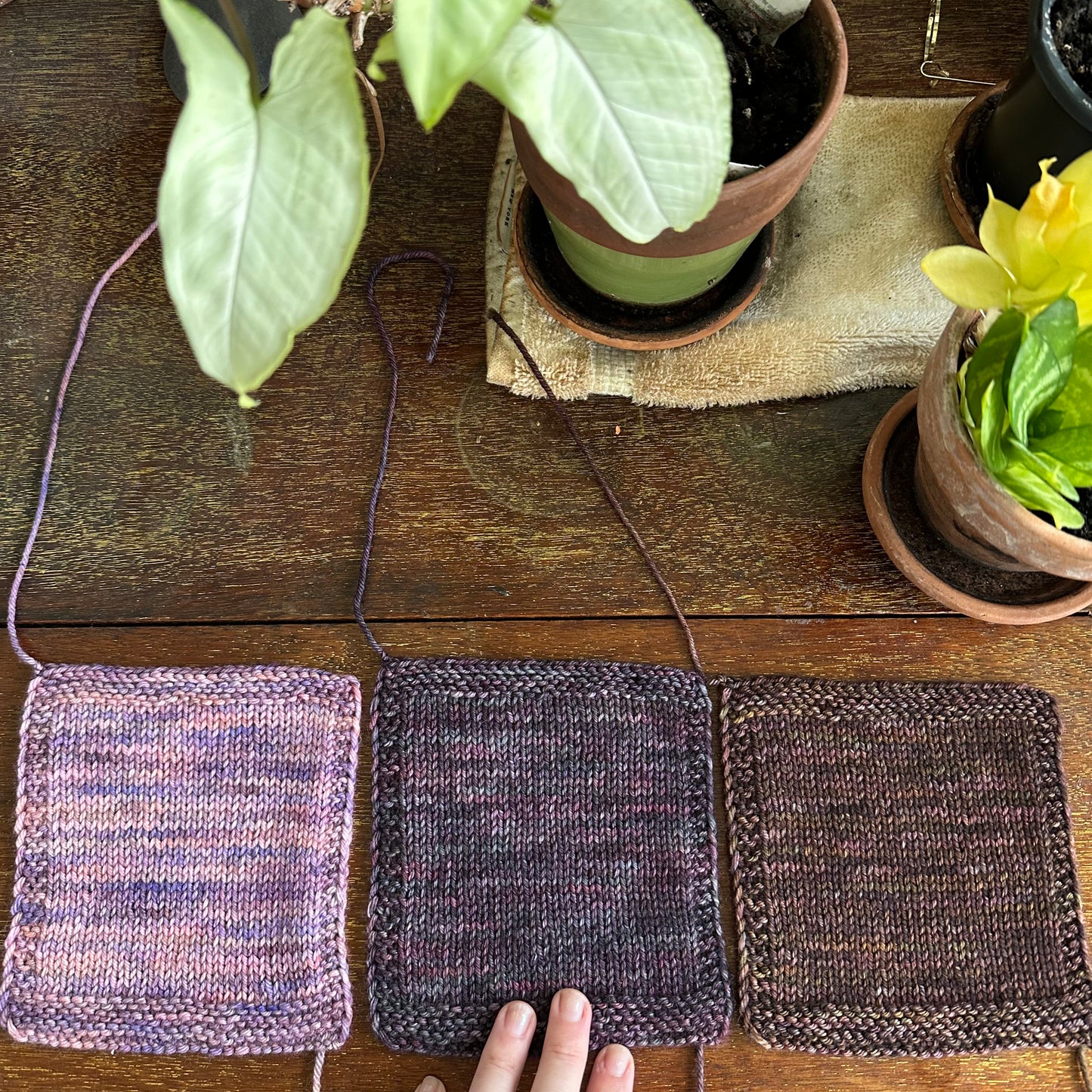 DYED-TO-ORDER | Old Books